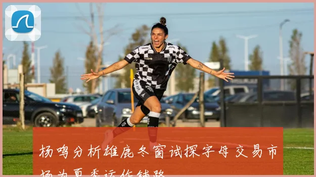 杨鸣分析雄鹿冬窗试探字母交易市场为夏季运作铺路